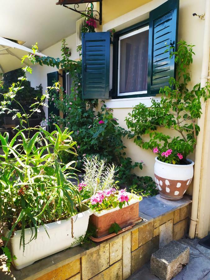 Grivas Apartments Sívota Dış mekan fotoğraf